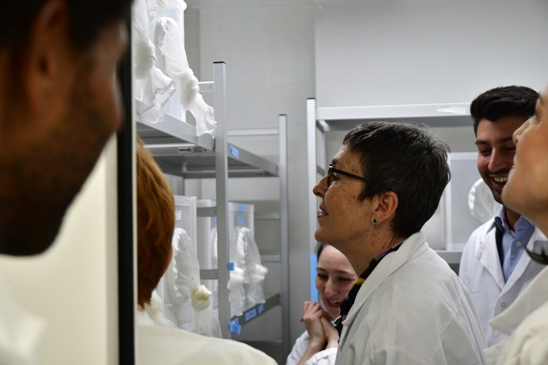 Impressions from the lab. (Photo: Myrta Brunner, Swiss TPH)