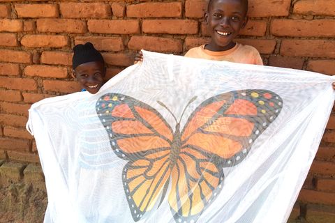 Nets that kids want