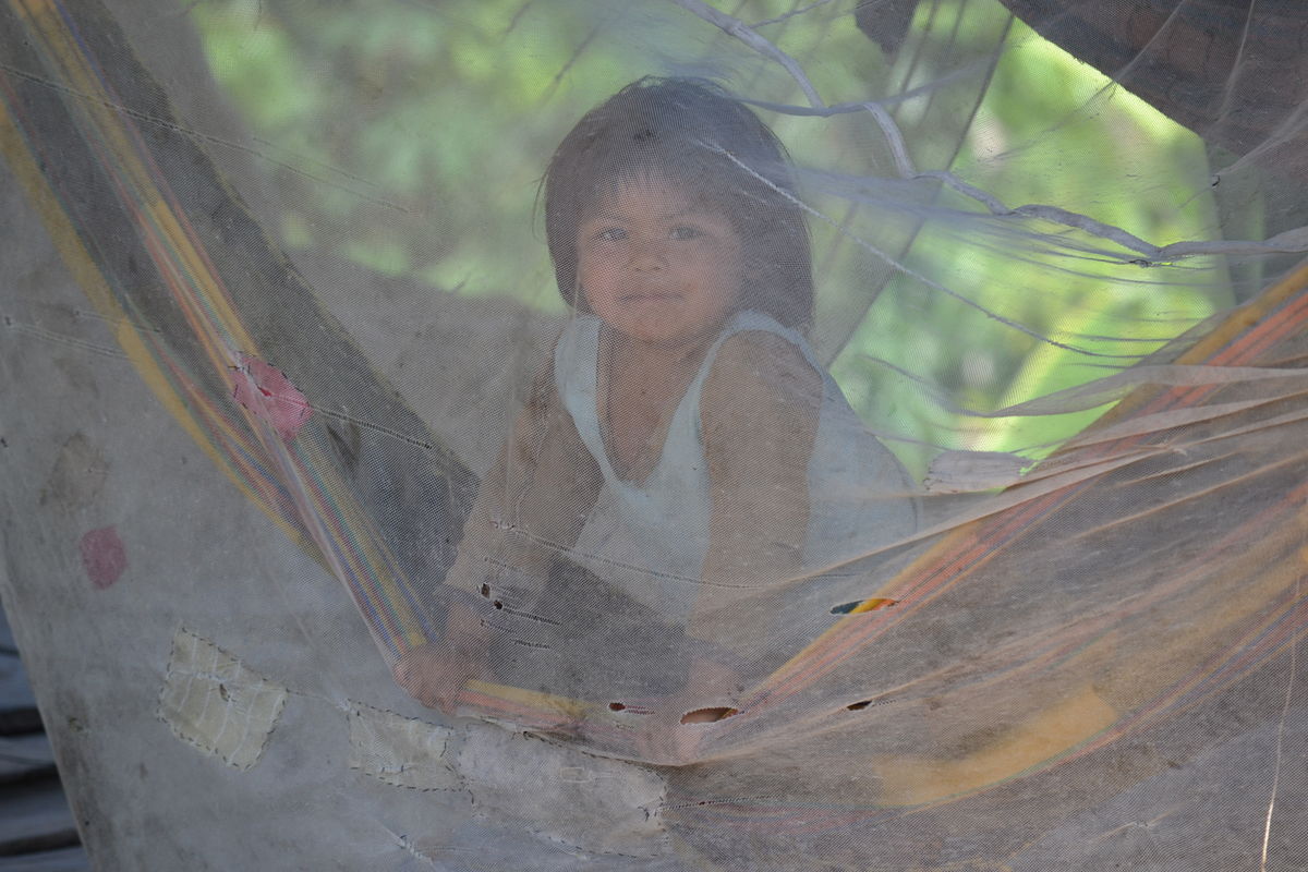 In the Amazon