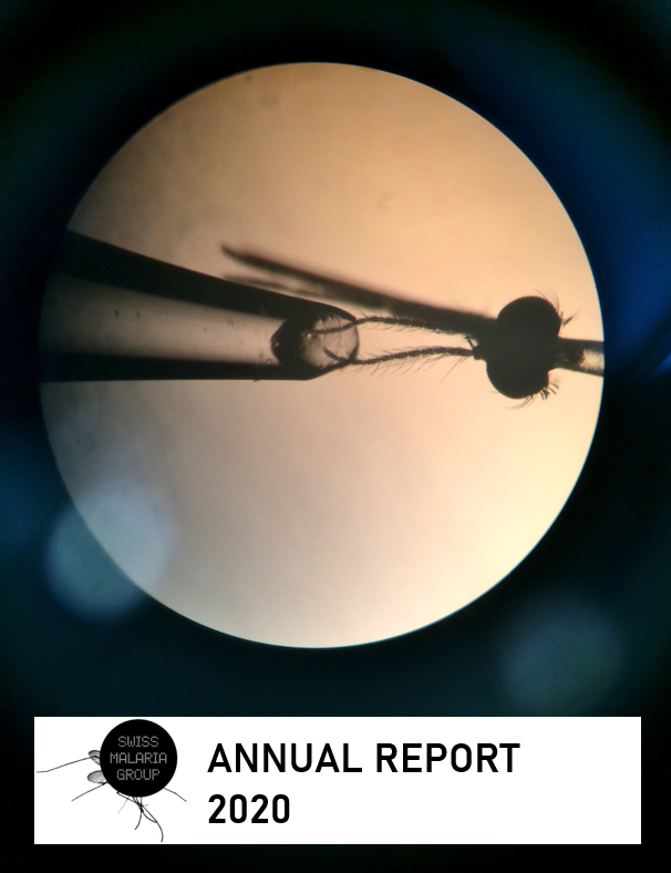 Annual Report 2020